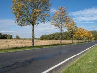 a lone, empty rural road through a field in the distance is some trees on one side