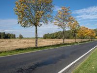 a lone, empty rural road through a field in the distance is some trees on one side