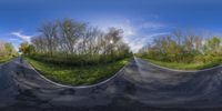 a street view with an image of a very distorted landscape of trees and the sky