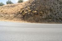 a person riding on a skateboard down a hill side with grass and bushes on the mountain