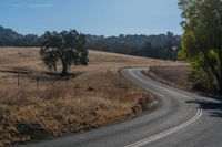 an open country road winding through grassy countryside on a clear day on the side of a hill