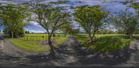 a 3d rendering of a road going through a field and trees with bright green grass