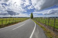 a highway is winding around a farm with fields of grass behind it and fences next to a tall tree