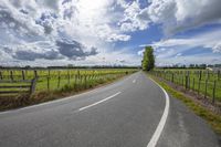 a highway is winding around a farm with fields of grass behind it and fences next to a tall tree