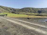 Rural Road in Iceland's Highland Surrounded by Grass