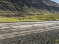 a road with cars, trucks, sheep and some green grass in front of mountain peaks