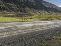 a road with cars, trucks, sheep and some green grass in front of mountain peaks