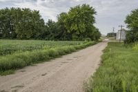 Rural Road in Iowa: Through a Farm Field