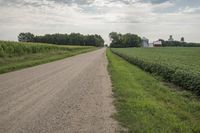 Rural Road Through Iowa Fields and Crops