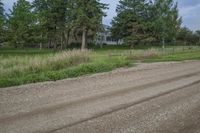 Rural Road in Iowa: Surrounded by Green Fields