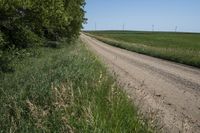 Rural Road Through Iowa Prairie Crop Field 002