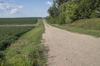 a road with gravel and grass on both sides of it and a green field in the middle