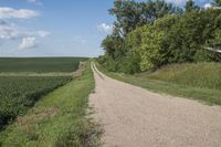 a road with gravel and grass on both sides of it and a green field in the middle