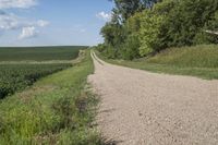 a road with gravel and grass on both sides of it and a green field in the middle