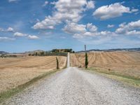 Rural Road in Italy's Tuscany