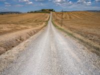 Rural Road in Italy's Tuscany