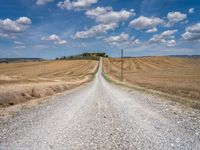 Rural Road in Italy's Tuscany