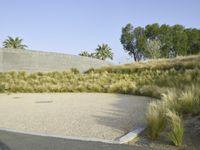 Rural Road in Los Angeles: Under a Clear Sky