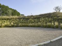 Rural Road in Los Angeles: Under a Clear Sky