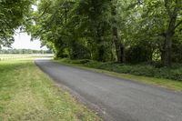 paved roadway with fence in grass at rural road side area near horse field and trees