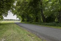 paved roadway with fence in grass at rural road side area near horse field and trees