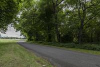 paved roadway with fence in grass at rural road side area near horse field and trees