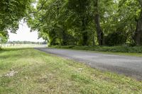 paved roadway with fence in grass at rural road side area near horse field and trees