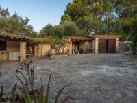 Rural Road in Majorca, Spain: Break of Day