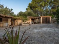 Rural Road in Majorca, Spain: Break of Day