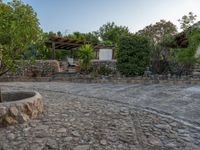 Rural Road in Majorca, Spain: Embracing Agriculture