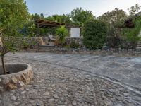 Rural Road in Majorca, Spain: Embracing Agriculture