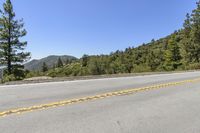 a road with pine trees lining the side and a sky background with a blue sky