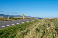 a road that has grass growing and a yellow sign by the side of it indicating which to choose if there is a direction