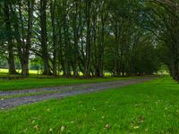 Rural Road in North Island, New Zealand