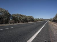 a road with the number 4 on it and several trees by the side of it