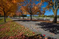 fall leaves lie on the ground and near a park bench with white fencing, in the foreground a blue sky