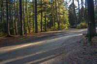 Rural Road in Ontario, Canada: Forest Landscape 001