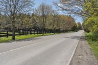 a road in front of some trees by a fence on a sunny day, with no traffic