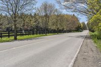 a road in front of some trees by a fence on a sunny day, with no traffic