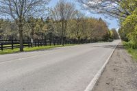 a road in front of some trees by a fence on a sunny day, with no traffic