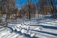 a trail surrounded by tall trees on a snowy slope in the woods by a bench