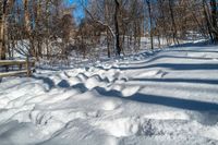 a trail surrounded by tall trees on a snowy slope in the woods by a bench