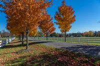 some trees with colorful leaves are behind a white fence with a bench in the middle