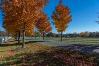 some trees with colorful leaves are behind a white fence with a bench in the middle