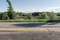 a fire hydrant sits on the side of a road near some trees and grass