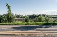 a fire hydrant sits on the side of a road near some trees and grass