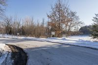 Rural Road in Ontario: A Scenic Landscape with Trees