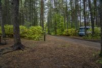 Rural Road in Ontario: Wet Asphalt Landscape 001