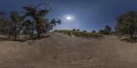 a 360 - shot view of a hill with trees and bushes, and the sun in the middle of the horizon