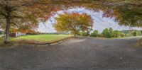 the road curves through a park with many trees in full bloom and leaves on the ground